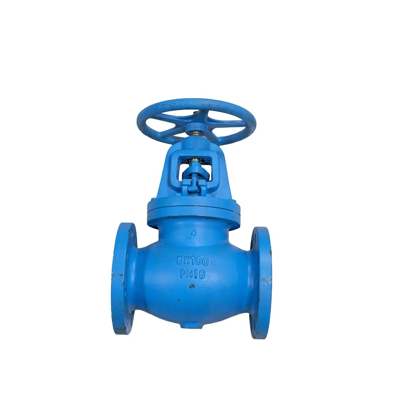 CI Globe Valve